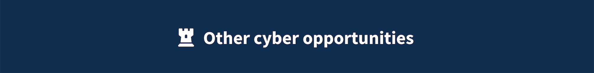 Other cyber opportunities